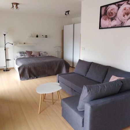 Apartment Archa Poděbrady Eksteriør billede